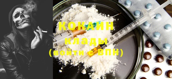 дживик Абинск