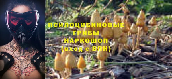 кокаин колумбия Болотное