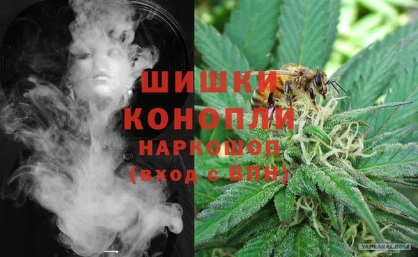 дживик Абинск