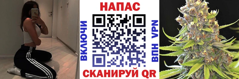 Бошки Шишки OG Kush  Фрязино 